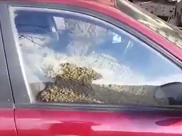 மனைவியின் காரில் சிமெண்டை நிரப்பி கணவன் ஆத்திரச் செயல்