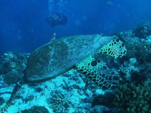 பழைய காரை விற்கவேண்டுமா? இவரை பின்பற்றுங்கள்..!