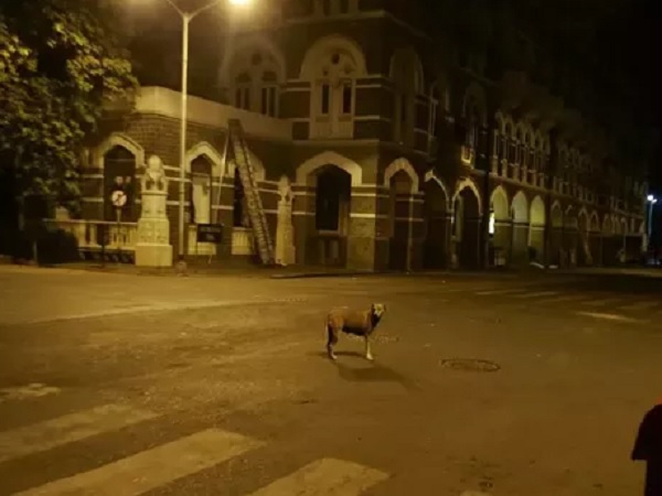 காரை கடித்துக்குதறிய தெரு நாய் கூட்டம் - அதிர்ச்சி வீடியோ..! காரை கடித்துக்குதறிய தெரு நாய் கூட்டம் - அதிர்ச்சி வீடியோ..!