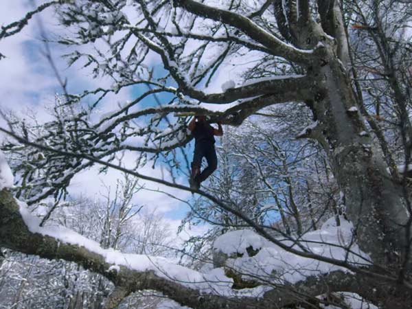 ஹெலிகாப்டர்கள்