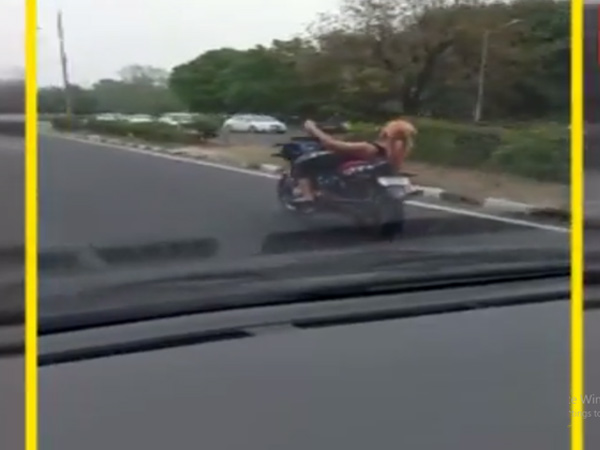 வைரல் வீடியோவால் புகழின் உச்சியில் பெண் பைக் ஸ்டண்ட் ரைடர்.! வைரல் வீடியோவால் புகழின் உச்சியில் பெண் பைக் ஸ்டண்ட் ரைடர்.!
