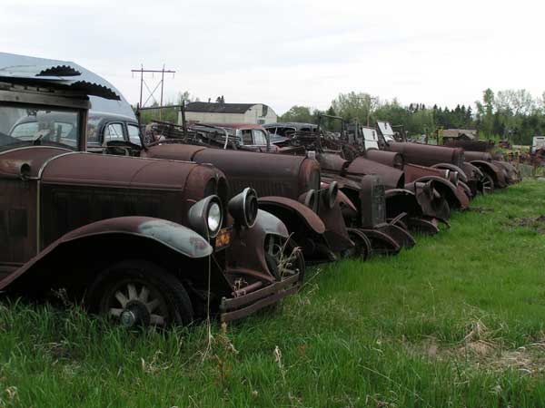 தோற்றப் பொலிவு