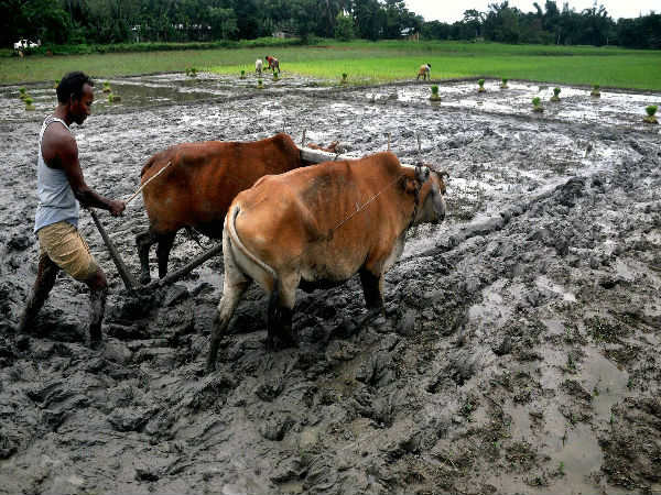டிராக்டராக மாறி நிலத்தை உழுத மிட்சுபிஷி மான்டிரோ!!