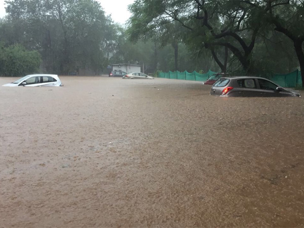 மழை வெள்ள பாதிப்பு: கார்களுக்கான பாதுகாப்பு கவர் அறிமுகம்..!!