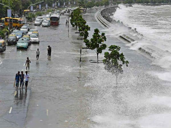 ரூ. 8 கோடி ரோல்ஸ் ராய்ஸ் கார் மீது முறிந்து விழுந்த மரம்..!!