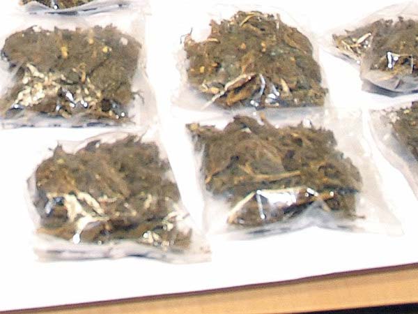 110 கிராம் கஞ்சாவை மெர்சிடிஸ் காரில் கடத்த முயன்ற வாலிபர்..!!