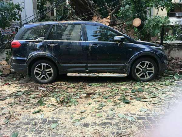 ராட்சத மரம் விழுந்தும் அசங்காத டாடா ஹெக்ஸா கார்!!