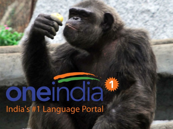 வண்டலூர் உயிரியல் புங்காவிற்கு 3 தொடர்வண்டிகள் அறிமுகம்!