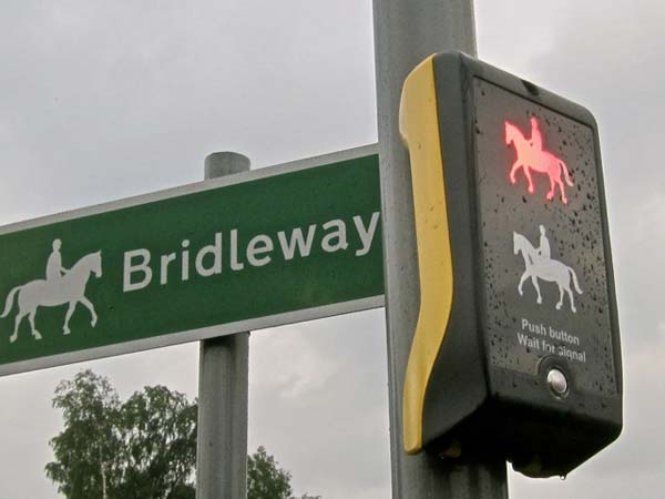 பீகாசஸ் க்ராசிங்