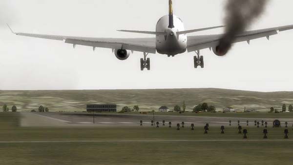 விமானத்தின் மீது பறவை மோதினால் என்ன நடக்கும்?