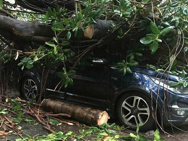 டாடா கார் விபத்து