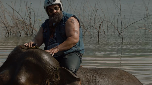 ராயல் என்ஃபீல்டு பைக்குகளை யானையுடன் ஒப்பிடும் பஜாஜ்..!!