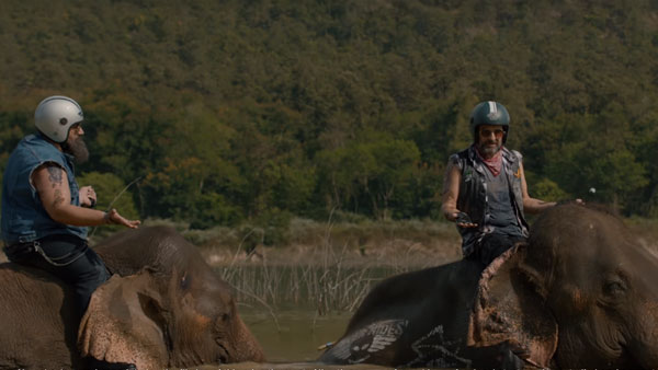 ராயல் என்ஃபீல்டு பைக்குகளை யானையுடன் ஒப்பிடும் பஜாஜ்..!!