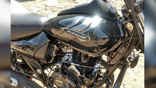 சந்தைக்கு வர தயாராக இருக்கும் பஜாஜின் புதிய அவென்ஜர் 180 பைக்..!!