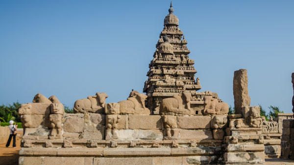  இந்த கோடை விடுமுறைக்கு எங்கு டூர் போகலாம்? இங்கிருக்கிறது உங்களுக்கான டிரிப் பிளான்