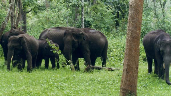  இந்த கோடை விடுமுறைக்கு எங்கு டூர் போகலாம்? இங்கிருக்கிறது உங்களுக்கான டிரிப் பிளான்