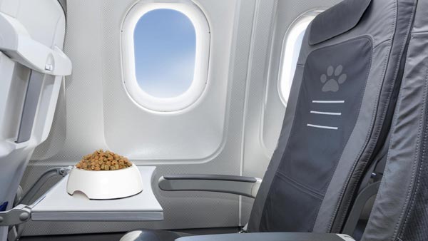 விமானத்தில் பயணம் செய்யுபவர்களுக்கான 7 முக்கிய டிப்ஸ்