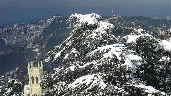 இந்திய டிரைவர்கள் முட்டாள்களா? இதையெல்லாமா நம்புவாங்க? அதிர்ச்சியளிக்கும் ஃபோர்டு சர்வே...