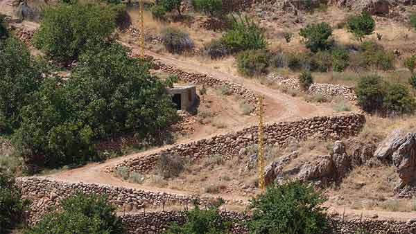 இந்திய டிரைவர்கள் முட்டாள்களா? இதையெல்லாமா நம்புவாங்க? அதிர்ச்சியளிக்கும் ஃபோர்டு சர்வே...