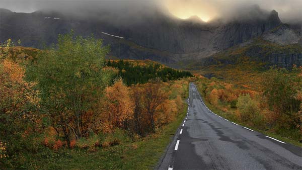 இந்திய டிரைவர்கள் முட்டாள்களா? இதையெல்லாமா நம்புவாங்க? அதிர்ச்சியளிக்கும் ஃபோர்டு சர்வே...