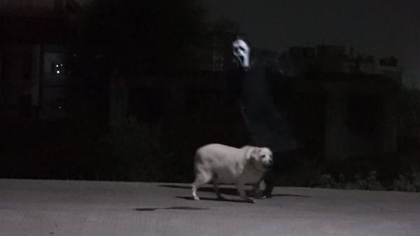 ராயல் என்பீல்டு பைக், மாருதி டிசையர் காரில் பேய்கள்...! வைரல் வீடியோ 