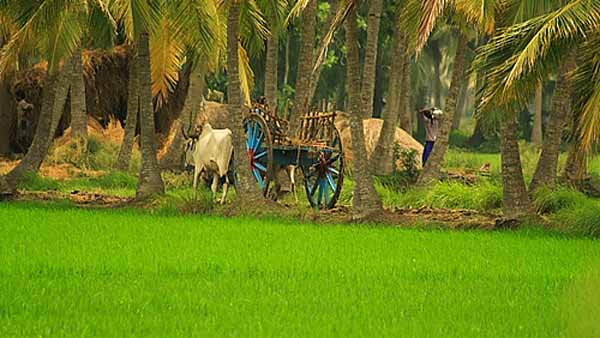 நாடு முழுவதும் மாருதி சுசூகி கார் ஓனர்களுக்கு திடீர் அதிர்ஷ்டம்..!!! 10 நாள் செம ஹேப்பி..!!!
