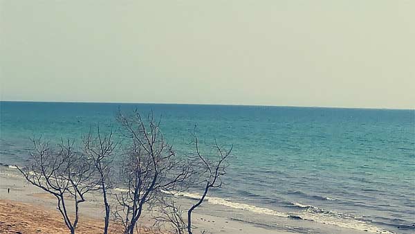 மும்பையிலிருந்கு கோவாவிற்கு இந்தியாவின் முதல் சொகுசு கப்பல் அறிமுகம்!