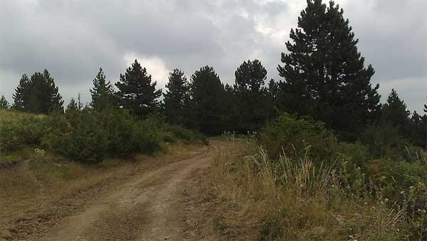 அவன் கார் மட்டும் எப்படி ரிப்பேர் ஆகாம இருக்கு... பக்கத்து வீட்டுக்காரரை பார்த்து பொறாமையா? அவன் கார் மட்டும் எப்படி ரிப்பேர் ஆகாம இருக்கு... பக்கத்து வீட்டுக்காரரை பார்த்து பொறாமையா?