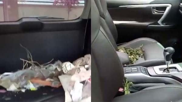 பார்ச்சூனர் காரில் குப்பை அள்ளும் அடடே மாநகராட்சி... ஆங்ரி பேர்டு பிஸ்னஸ்மேனால் டொயாட்டோவுக்கு அசிங்கம்...