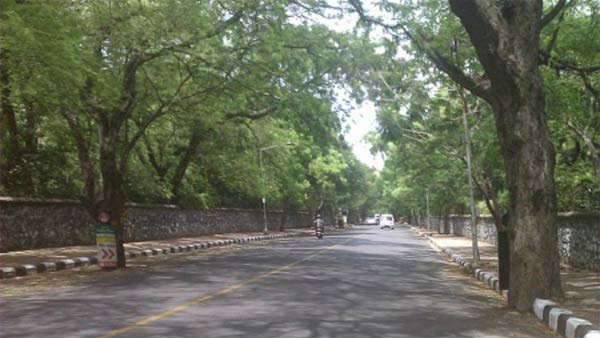 வீரப்பனால் கொல்லப்பட்டவர்களின் ஆவி உலாவுகிறது.. அமானுஷ்யம் நிறைந்த சத்தி வனச்சாலையில் திகில் பயணம்..