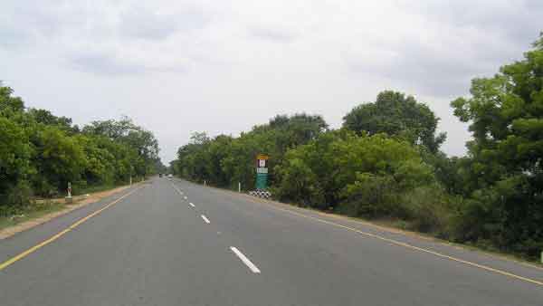 வீரப்பனால் கொல்லப்பட்டவர்களின் ஆவி உலாவுகிறது.. அமானுஷ்யம் நிறைந்த சத்தி வனச்சாலையில் திகில் பயணம்..