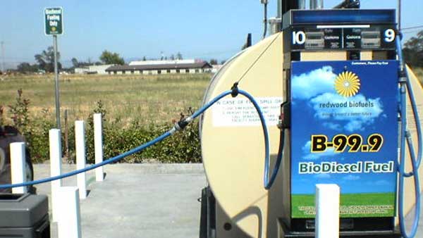 சமையல் என்ணெய்யை பயோ டீசலாக மாற்றும் மெக்டோனால்ட்ஸ்; ஆண்டிற்கு 4 லட்சம் மெட்ரிக் டன் மாசுவை கட்டுப்படுத்த யோசனை