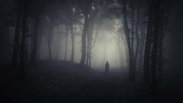 வீரப்பனால் கொல்லப்பட்டவர்களின் ஆவி உலாவுகிறது.. அமானுஷ்யம் நிறைந்த சத்தி வனச்சாலையில் திகில் பயணம்..