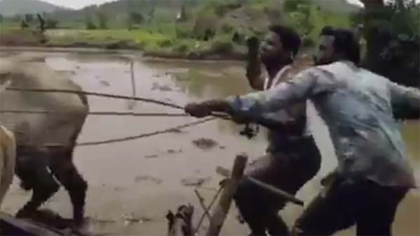 இப்படியும் கிகி சேலஞ்சில் ஈடுபடலாம்! எச்சரிக்கை விடுத்த போலீசாருக்கு சவால் விடும் வைரல் வீடியோ!