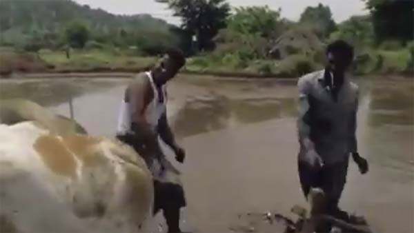 இப்படியும் கிகி சேலஞ்சில் ஈடுபடலாம்! எச்சரிக்கை விடுத்த போலீசாருக்கு சவால் விடும் வைரல் வீடியோ!