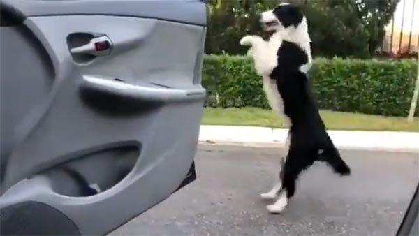  கீகீ சேலஞ்சில் ஈடுபட்டால் ஜெயில்தான் ; போலீசார் எச்சரிக்கை