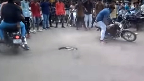 பைக் சாகசத்தில் ஈடுபட்ட இளைஞர்களை வெளுத்து வாங்கிய போலீசார்.. தல இந்த டிரிப் அடி கொஞ்சம் ஓவரோ?