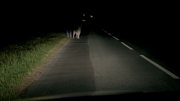 கார்களில் புதிதாக வந்த இந்த மாற்றங்களை எல்லாம் கவனிச்சீங்களா?