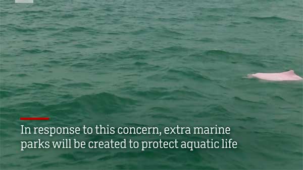 உலகின் நீளமான கடல் பாலம் சீனாவில் திறப்பு: சுவாரஸ்யத் தகவல்கள்! 