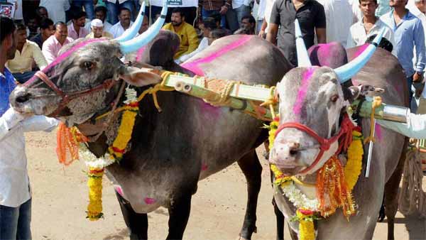 ஒரு மாட்டு வண்டி உருவாக்க இவ்வளவு செலவா? தமிழர் பாரம்பரியத்தை மீட்கும் முயற்சியில் இறங்கிய நெசவாளர்