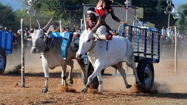 ஒரு மாட்டு வண்டி உருவாக்க இவ்வளவு செலவா? தமிழர் பாரம்பரியத்தை மீட்கும் முயற்சியில் இறங்கிய நெசவாளர்