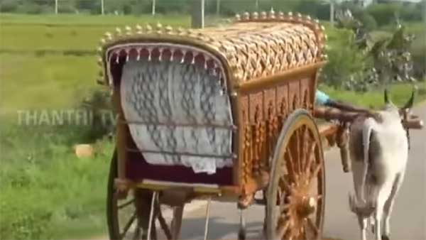 ஒரு மாட்டு வண்டி உருவாக்க இவ்வளவு செலவா? தமிழர் பாரம்பரியத்தை மீட்கும் முயற்சியில் இறங்கிய நெசவாளர்