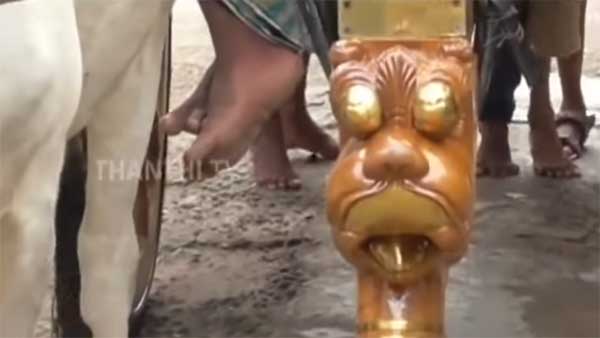 ஒரு மாட்டு வண்டி உருவாக்க இவ்வளவு செலவா? தமிழர் பாரம்பரியத்தை மீட்கும் முயற்சியில் இறங்கிய நெசவாளர்