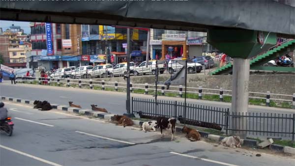 நன்றி மறந்து விடாதீர்கள்.. மோடி உதவுவார் என்ற நம்பிக்கையுடன் காத்து கிடக்கும் நேபாள முதியவர்..