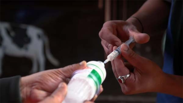 நன்றி மறந்து விடாதீர்கள்.. மோடி உதவுவார் என்ற நம்பிக்கையுடன் காத்து கிடக்கும் நேபாள முதியவர்..