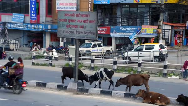 நன்றி மறந்து விடாதீர்கள்.. மோடி உதவுவார் என்ற நம்பிக்கையுடன் காத்து கிடக்கும் நேபாள முதியவர்..