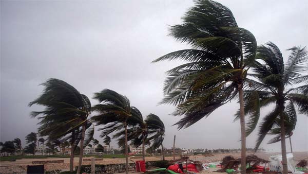 ருத்ர தாண்டவம் ஆடிய கஜா... உயிரை பணயம் வைத்து பயணிகளை காப்பாற்றிய தமிழக அரசு பஸ் கன்டக்டர்