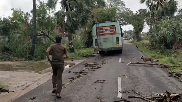 ருத்ர தாண்டவம் ஆடிய கஜா... உயிரை பணயம் வைத்து பயணிகளை காப்பாற்றிய தமிழக அரசு பஸ் கன்டக்டர்