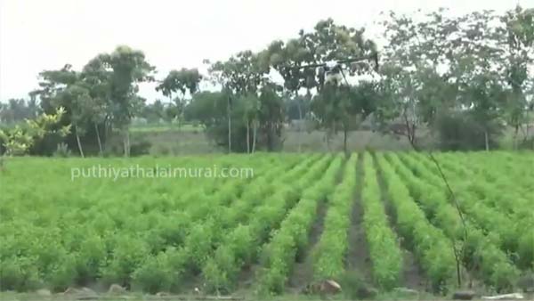 இந்த கருவி விவசாயிகளின் உயிரை காக்கும்... உலகையே திரும்பி பார்க்க வைத்த தமிழக இன்ஜினியர்களின் கண்டுபிடிப்பு...