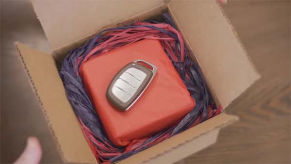 தனி ஆளாக 16 லட்சம் கிலோ மீட்டர்கள் கார் ஓட்டிய பெண்!! வித்தியாசமான முறையில் கிடைத்த பரிசு இதுதான்...